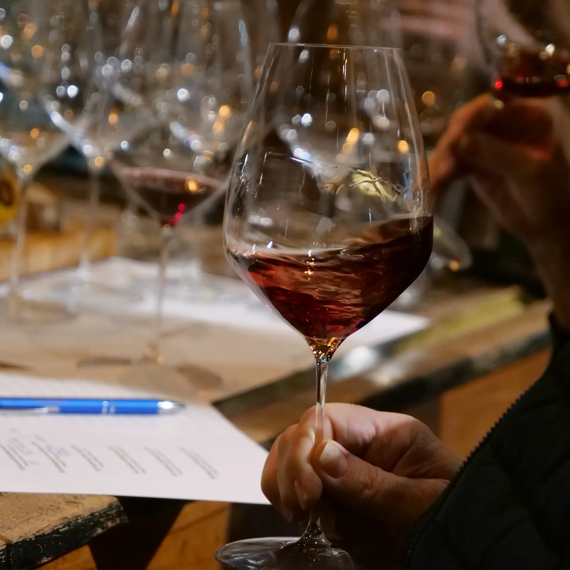 Weinverkostung "Wein rund um Wien" am 13.03.2026| DINZLER Kaffeerösterei