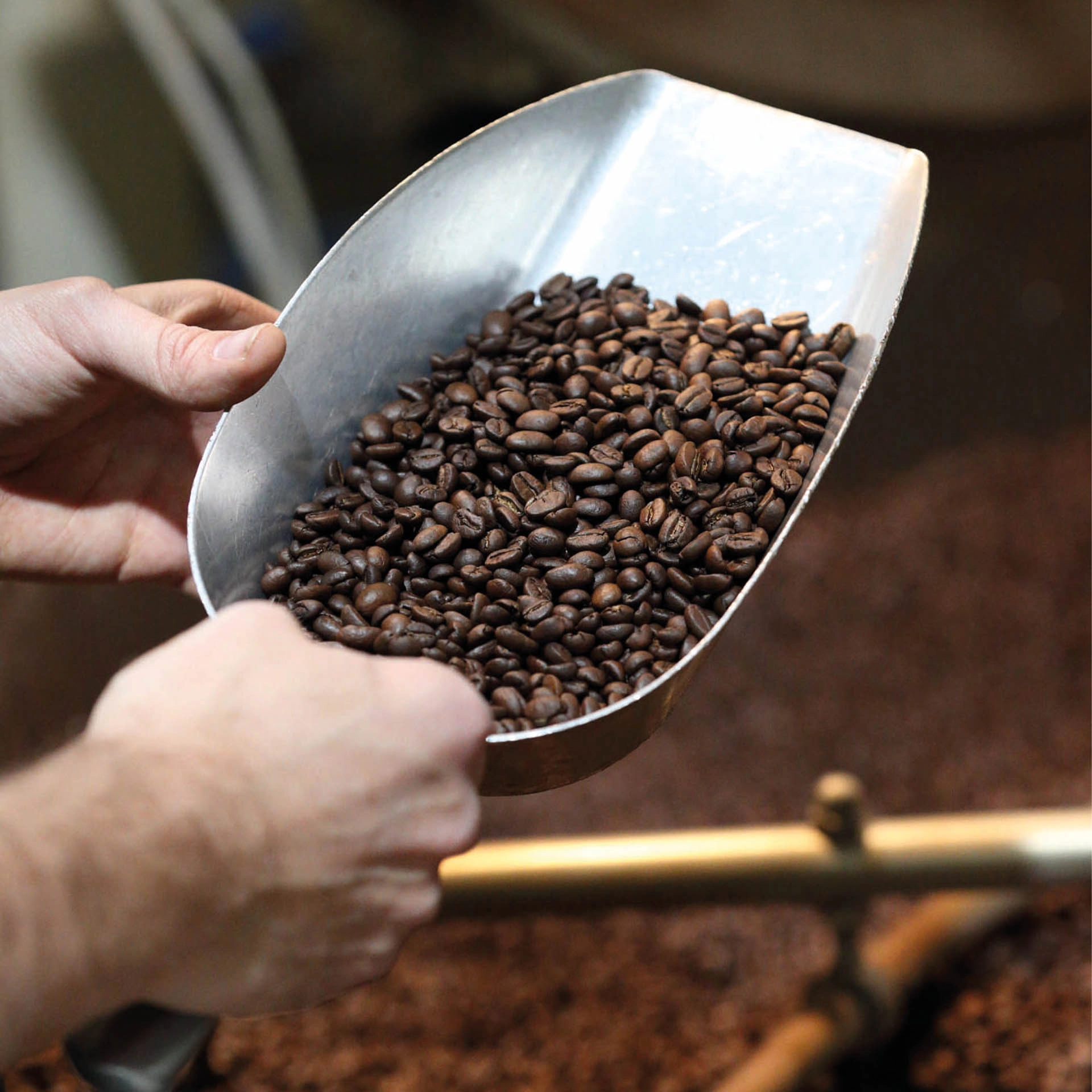 Produktbild DINZLER Barista Kurs Basic