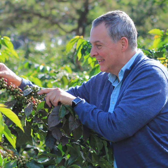 Kaffeeversorgung für Ihr Hotel - DINZLER Direkt gehandelt